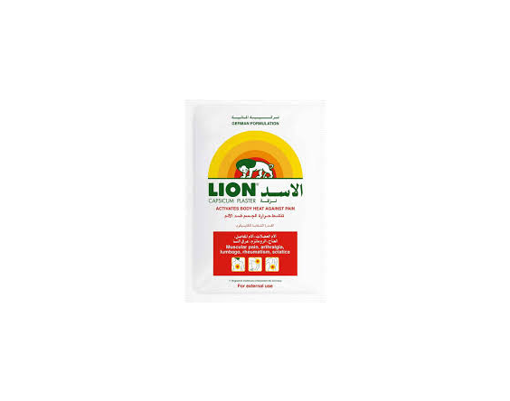 HP LION ARNICA HEAT PLASTER